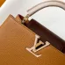 Louis Vuitton Handbags Capucines Taurillon #B51108