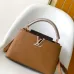 Louis Vuitton Handbags Capucines Taurillon #B51108