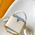 Louis Vuitton Handbags Capucines Taurillon #B51109