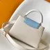 Louis Vuitton Handbags Capucines Taurillon #B51109