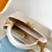 Louis Vuitton Handbags Capucines Taurillon #B51109