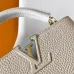 Louis Vuitton Handbags Capucines Taurillon #B51109