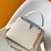 Louis Vuitton Handbags Capucines Taurillon #B51109