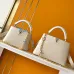 Louis Vuitton Handbags Capucines Taurillon #B51109