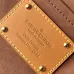 Louis Vuitton Handbags Chip version 163C Danube  size:16×21×6cm #B53476