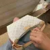 Louis Vuitton Hills Pochette #B50724