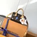 Louis Vuitton  Nano Speedy Vivienne M15330 #B58351
