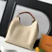 Louis Vuitton Sac Carmel Handbag With Chip #B54851