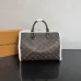 Louis Vuitton Women's Handbag Speedy Soft 30 Teddy M26326 #B57303