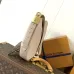 LV Shoulder Bags Low Key Cookie M14642 #B55989