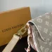 LV Shoulder Bags Travels With Grace Coddington #B55978