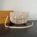 LV Shoulder Bags Travels With Grace Coddington #B55978