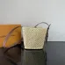 Louis Vuitton Shoulder Bags All In BB size:16×18×12cm #B53321