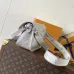 Louis Vuitton Shoulder Bags Chip version Milky Way #B51497