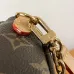 M15148 LV Travels With Grace Coddington Wallet On Chain Ivy #B55981