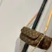 Louis Vuitton Wallet on Chain #B63644