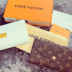 Louis Vuitton Sarah long flip purse #99897558