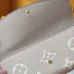 Louis Vuitton Wallets Long Wallets Essentials Wallets and Small Leather #B50799