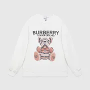 Burberry Hoodies high quality euro size #99923100