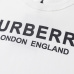 Burberry Hoodies high quality euro size #99923324