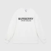 Burberry Hoodies high quality euro size #99923324
