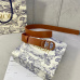 Dior AAA  3.0 cm new style belts #999929884