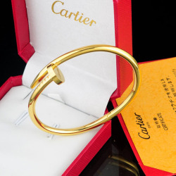 Cartier Bracelets #9111438