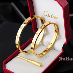 Cartier Bracelet #9103527