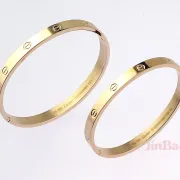 Cartier Bracelet #9103542