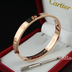 Cartier Bracelet #9103565