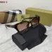 Burberry Sunglasses #B43494