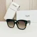 CELINE AAA+ Sunglasses #B35315