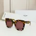 CELINE AAA+ Sunglasses #B35315