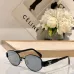 CELINE AAA+ Sunglasses #B35318