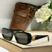 CELINE AAA+ Sunglasses #B39827