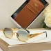 CELINE AAA+ Sunglasses #B51164