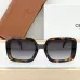 CELINE AAA+ Sunglasses #B51169