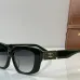 CELINE AAA+ Sunglasses #B51171