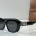 CELINE AAA+ Sunglasses #B51171