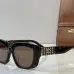 CELINE AAA+ Sunglasses #B51171