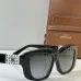 CELINE AAA+ Sunglasses #B51171