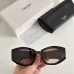 CELINE AAA+ Sunglasses #B53296