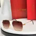 2026 Cartier AAA+ Sunglasses #B60632
