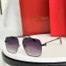 2026 Cartier AAA+ Sunglasses #B60632