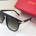 Cartier AAA+ Sunglasses #99911095