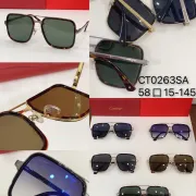 Cartier AAA+ Sunglasses #99919524