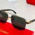 Cartier AAA+ Sunglasses #99919528