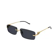 Cartier AAA+ Sunglasses #9999931514