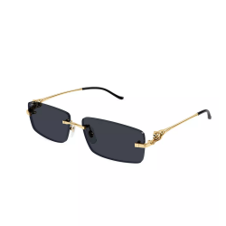 Cartier AAA+ Sunglasses #9999931514
