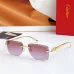 Cartier AAA+ Sunglasses #B53310